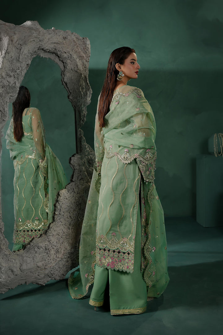ZAFEERA – TBR-8020