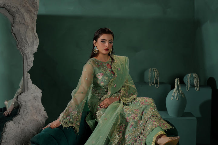 ZAFEERA – TBR-8020